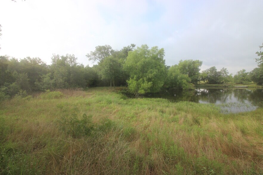 50.192 Acres Henry Warnell Survey A42, Lytton Springs, TX 78616 50.