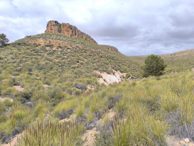 Land in MURCIA for sale - Building Photo - Image 3 of 8