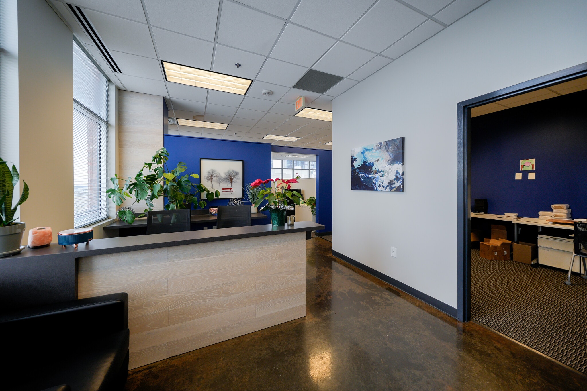 2201 South Blvd, Charlotte, NC for lease Building Photo- Image 1 of 6