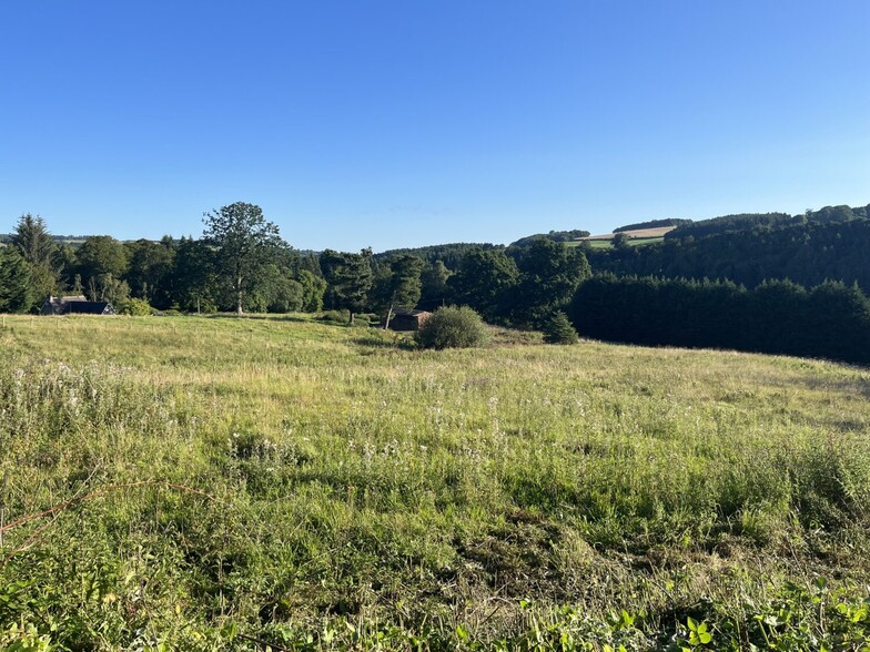 Land At Glendouglas, Jedburgh for sale - Primary Photo - Image 1 of 3