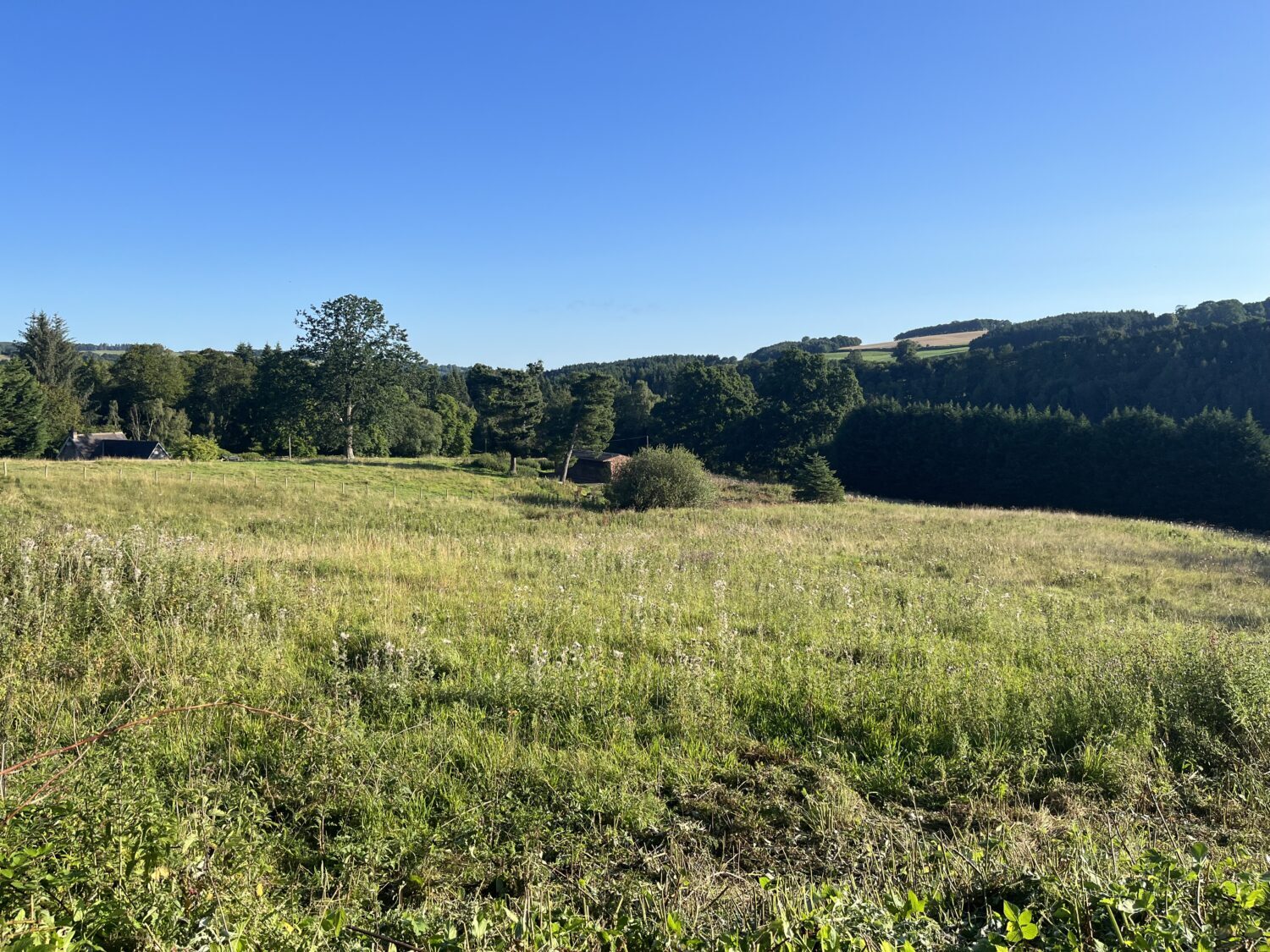 Land At Glendouglas, Jedburgh for sale Primary Photo- Image 1 of 4