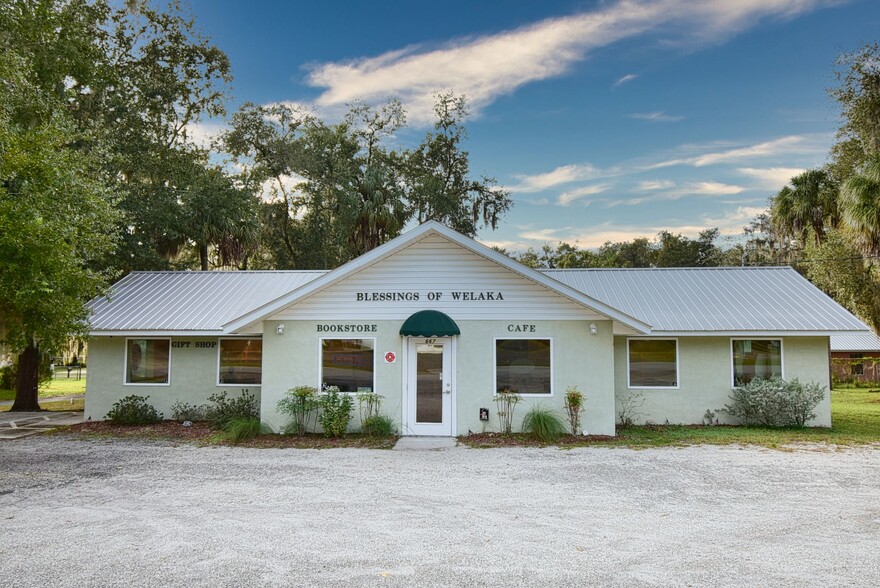 667 3rd Ave, Welaka, FL for sale - Primary Photo - Image 1 of 45