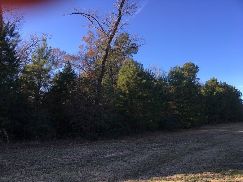 Fish Creek Thoroughfare, Conroe, TX for sale - Other - Image 1 of 1