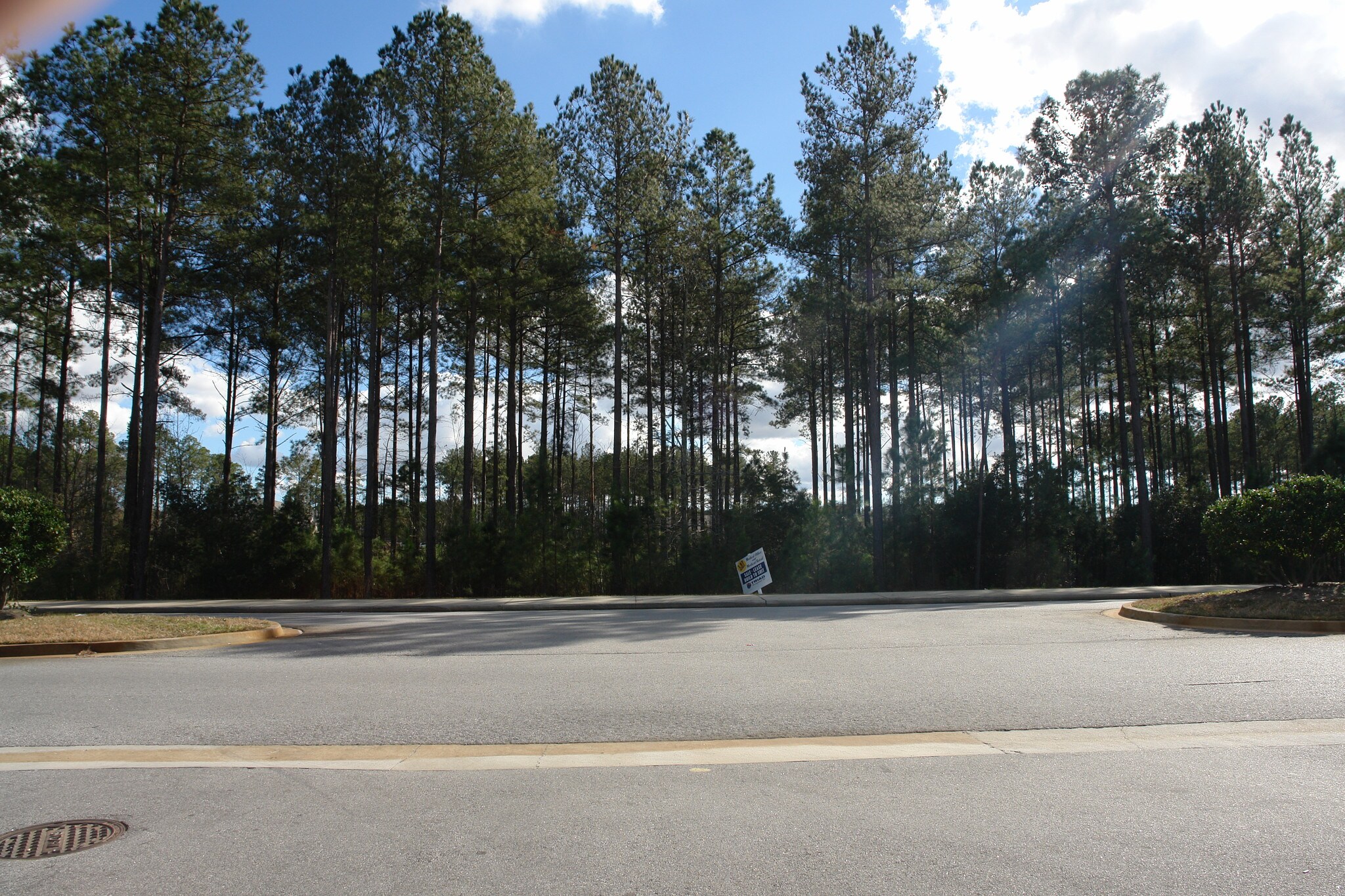 Godley Station Blvd, Pooler, GA for sale Primary Photo- Image 1 of 1