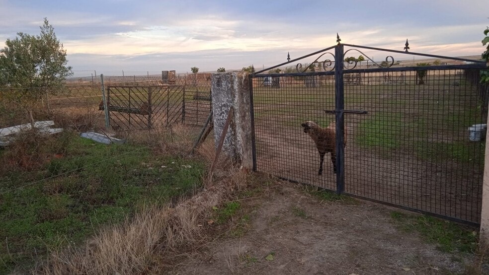 Land in Sierra de Fuentes, Cáceres for sale - Building Photo - Image 2 of 8