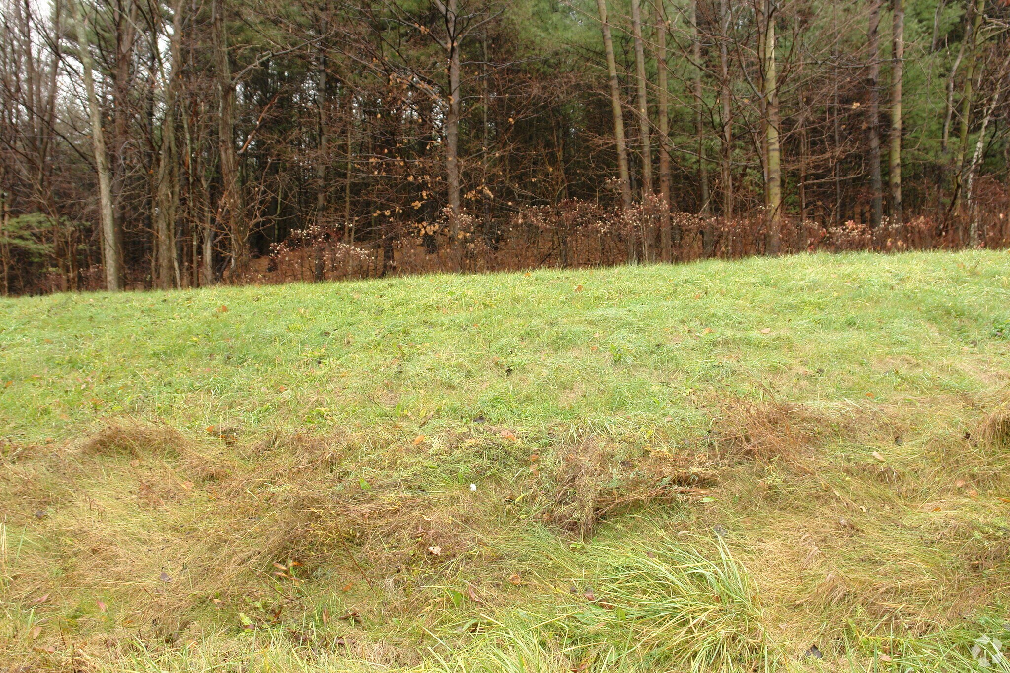 1814 Us-9, Castleton On Hudson, NY for sale Primary Photo- Image 1 of 1