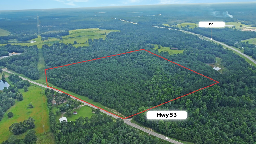 0 Highway 53, Poplarville, MS for sale - Other - Image 2 of 5