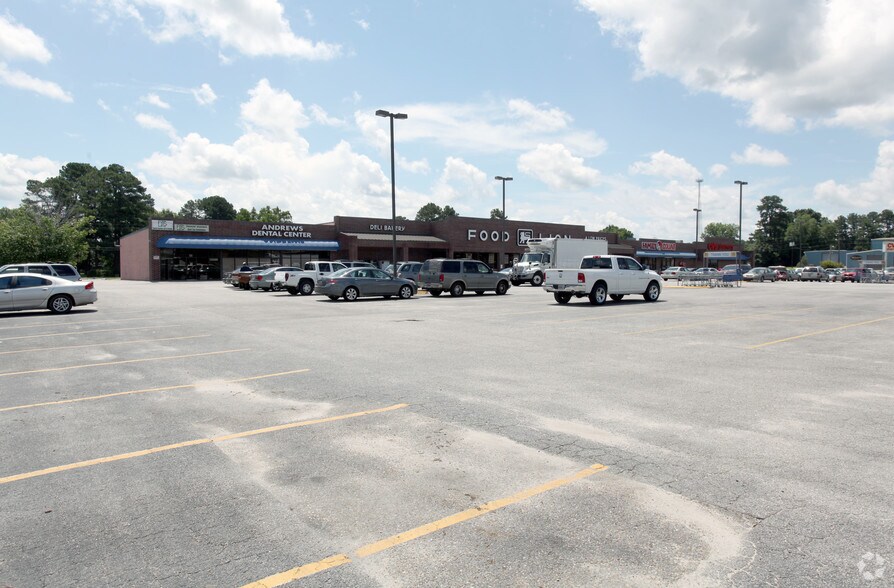 421 E Brooks Rd, Andrews, SC 29510