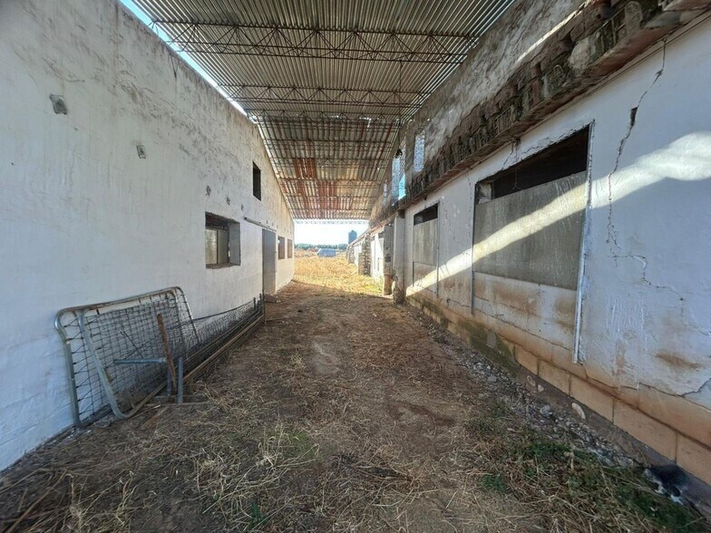 Industrial in Polán, Toledo for sale - Building Photo - Image 3 of 14