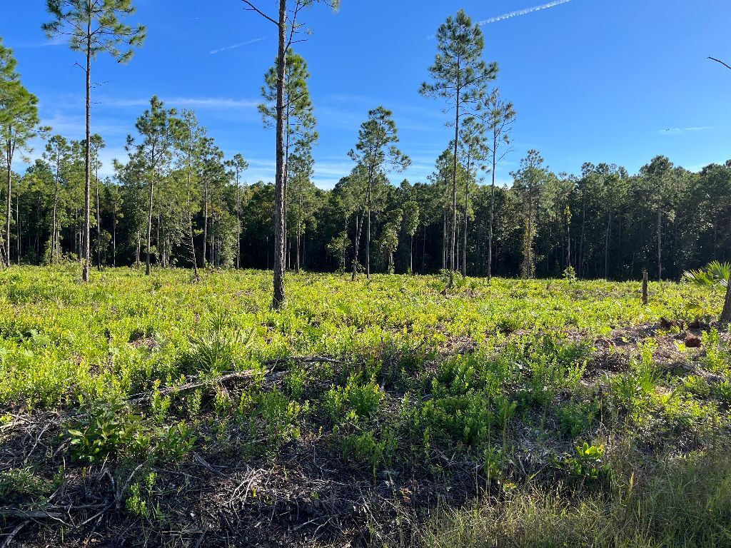 2 International Golf Parkway, Saint Augustine, FL for sale Building Photo- Image 1 of 3