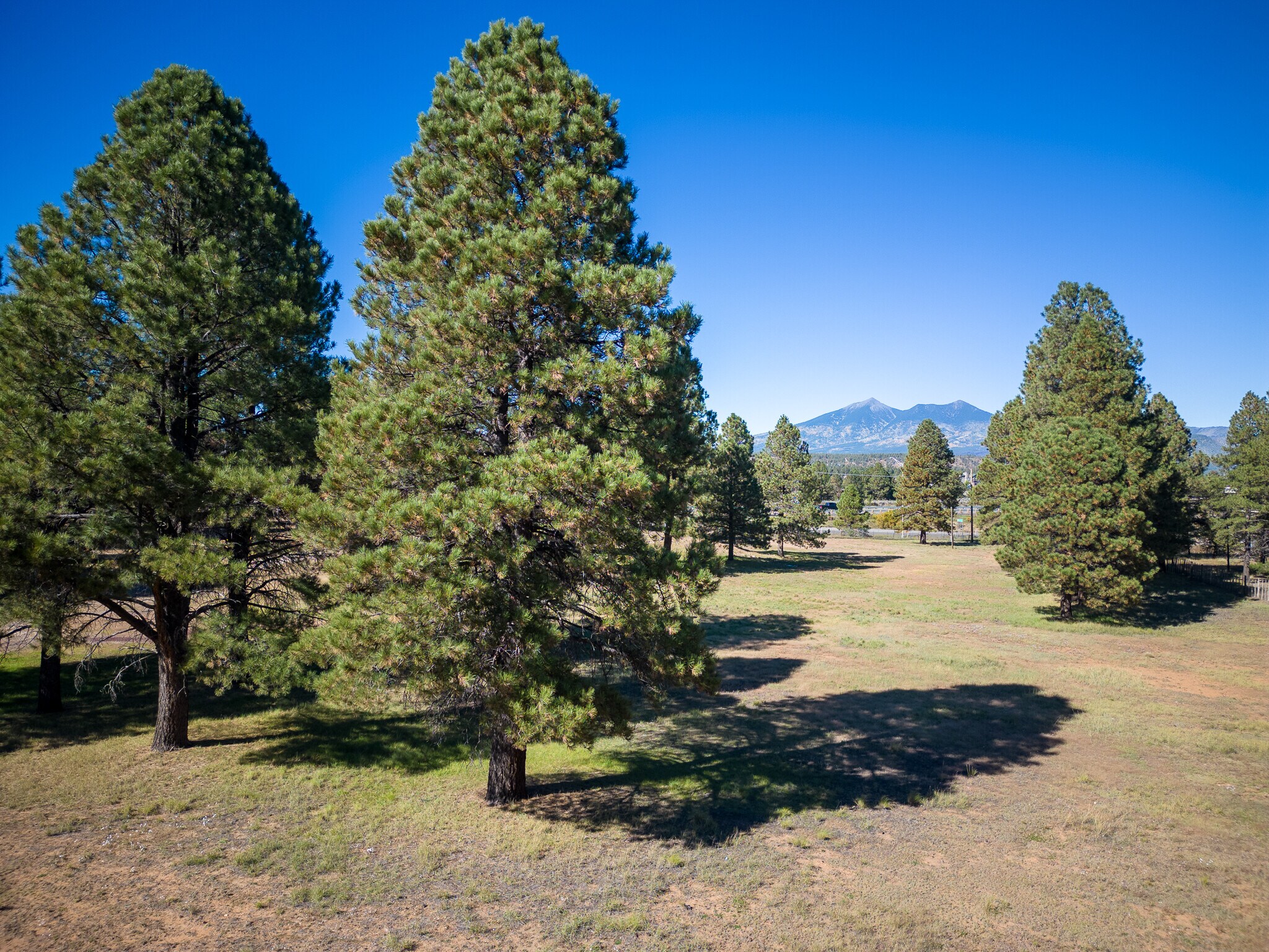 Flagstaff Az Property Records - grggamh