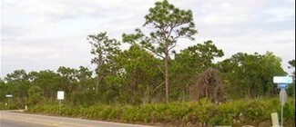 More details for 12212 Stringfellow Rd, Bokeelia, FL - Land for Sale