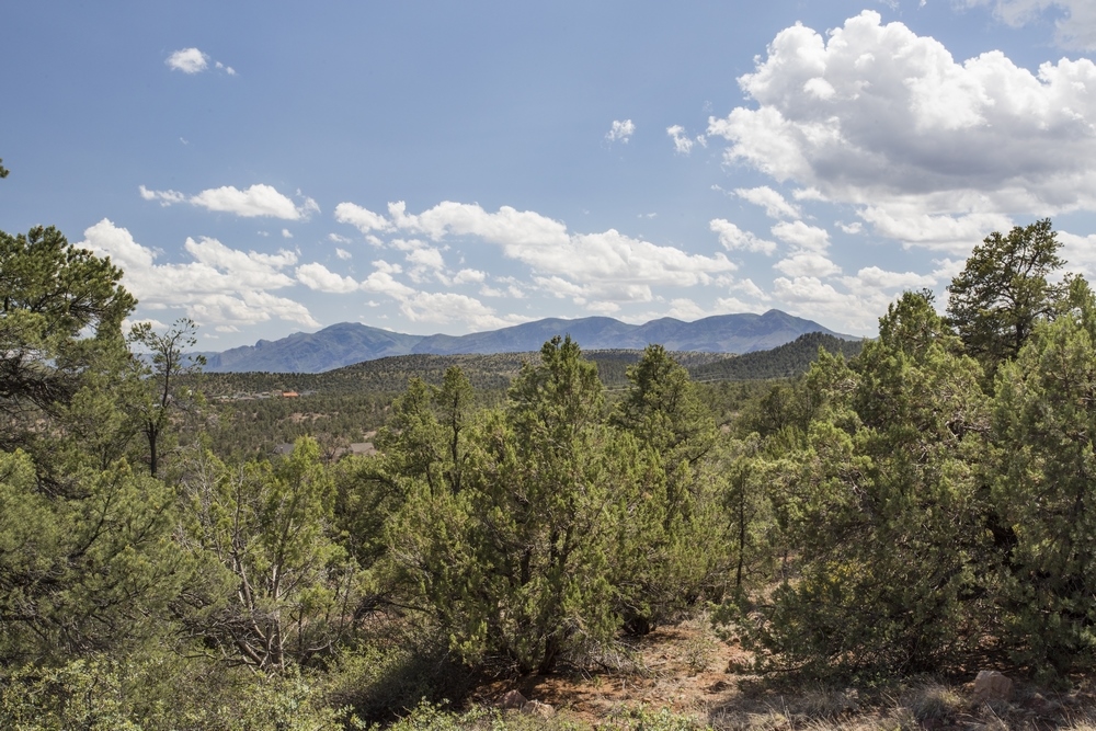 1250 W. Airport Rd, Payson, AZ for sale Building Photo- Image 1 of 14