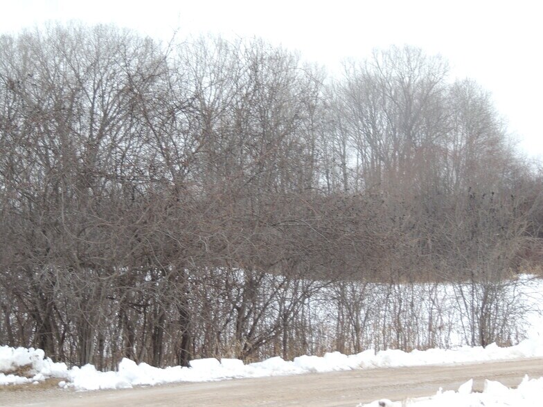 Loop, Larsen, WI 54947 Land for Sale