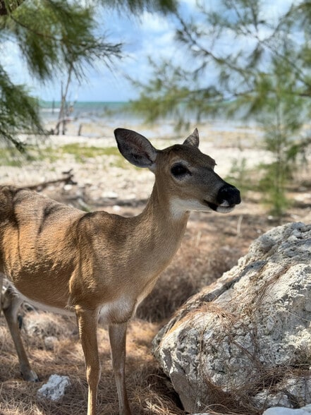 Barnicle Bed and Breakfast portfolio of 2 properties for sale on LoopNet.com - Building Photo - Image 2 of 58