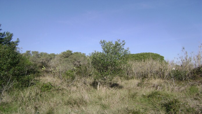 Land in Torredembarra, Tarragona for sale - Construction Photo - Image 2 of 4