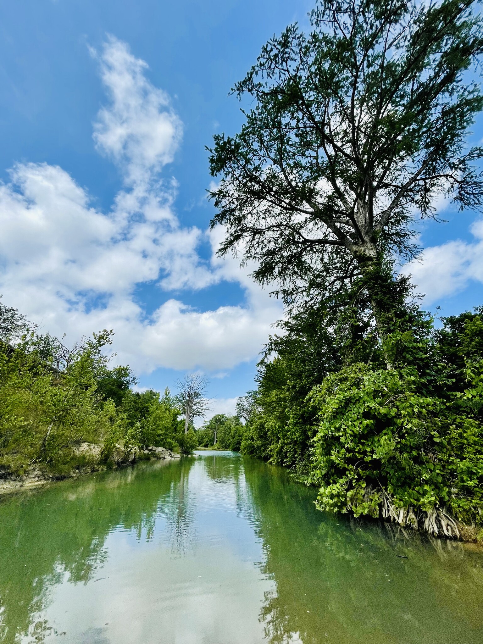 1345 Old Martindale, San Marcos, TX for sale Primary Photo- Image 1 of 18