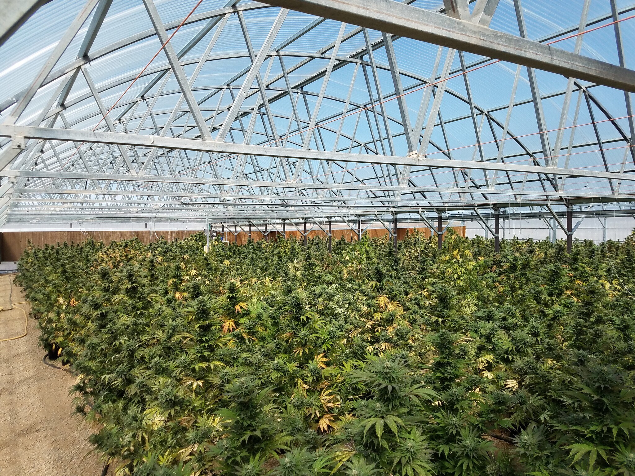 10662 state Hwy 172, Ignacio, CO for sale Primary Photo- Image 1 of 1