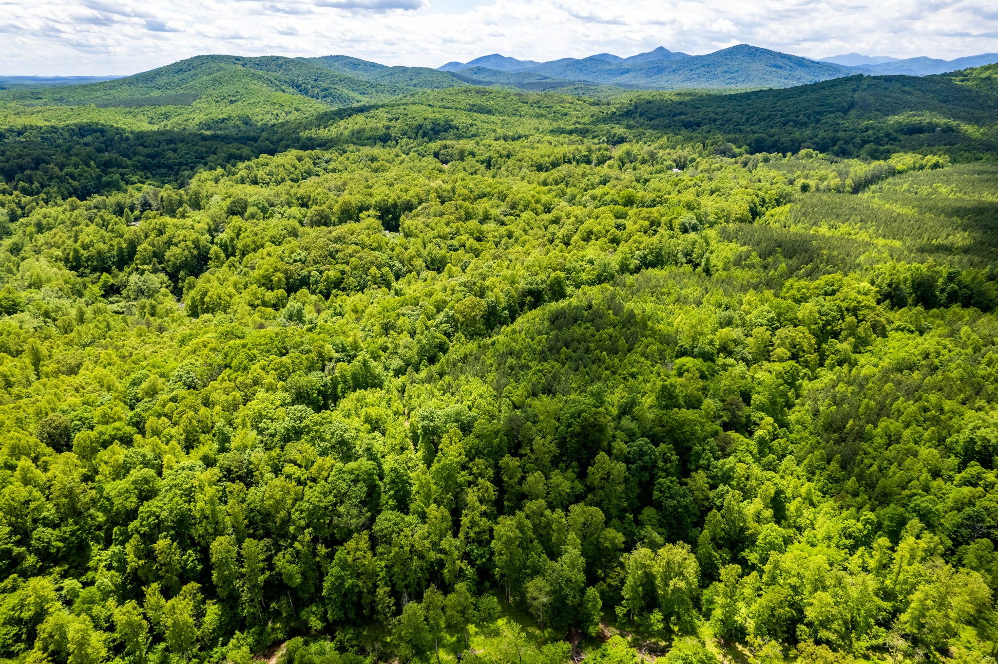 tbd Green Creek Rd, Schuyler, VA for sale Primary Photo- Image 1 of 28