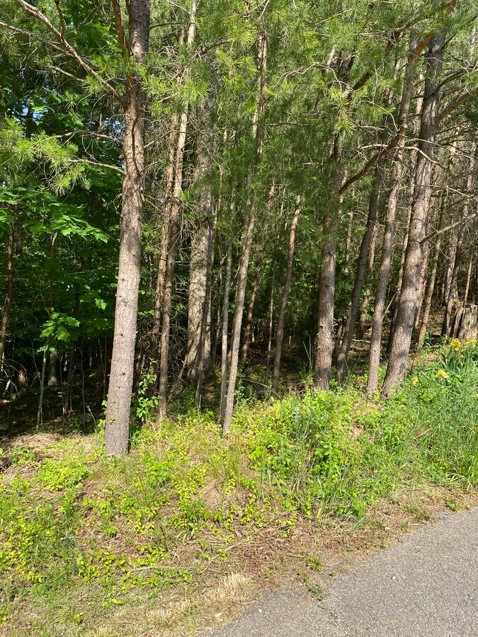 0 Redwood, Elkview, WV 25071 Land for Sale