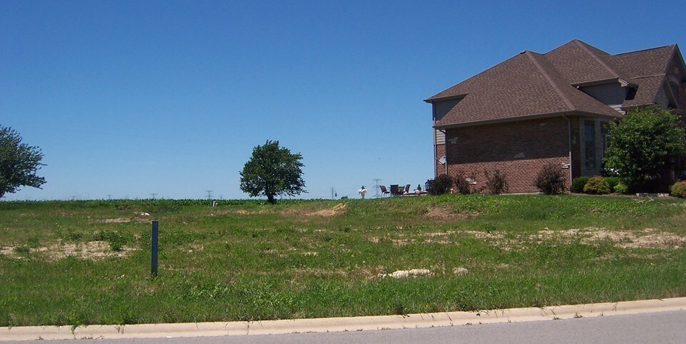 22276 Elise Blvd, Frankfort, IL for sale Building Photo- Image 1 of 9