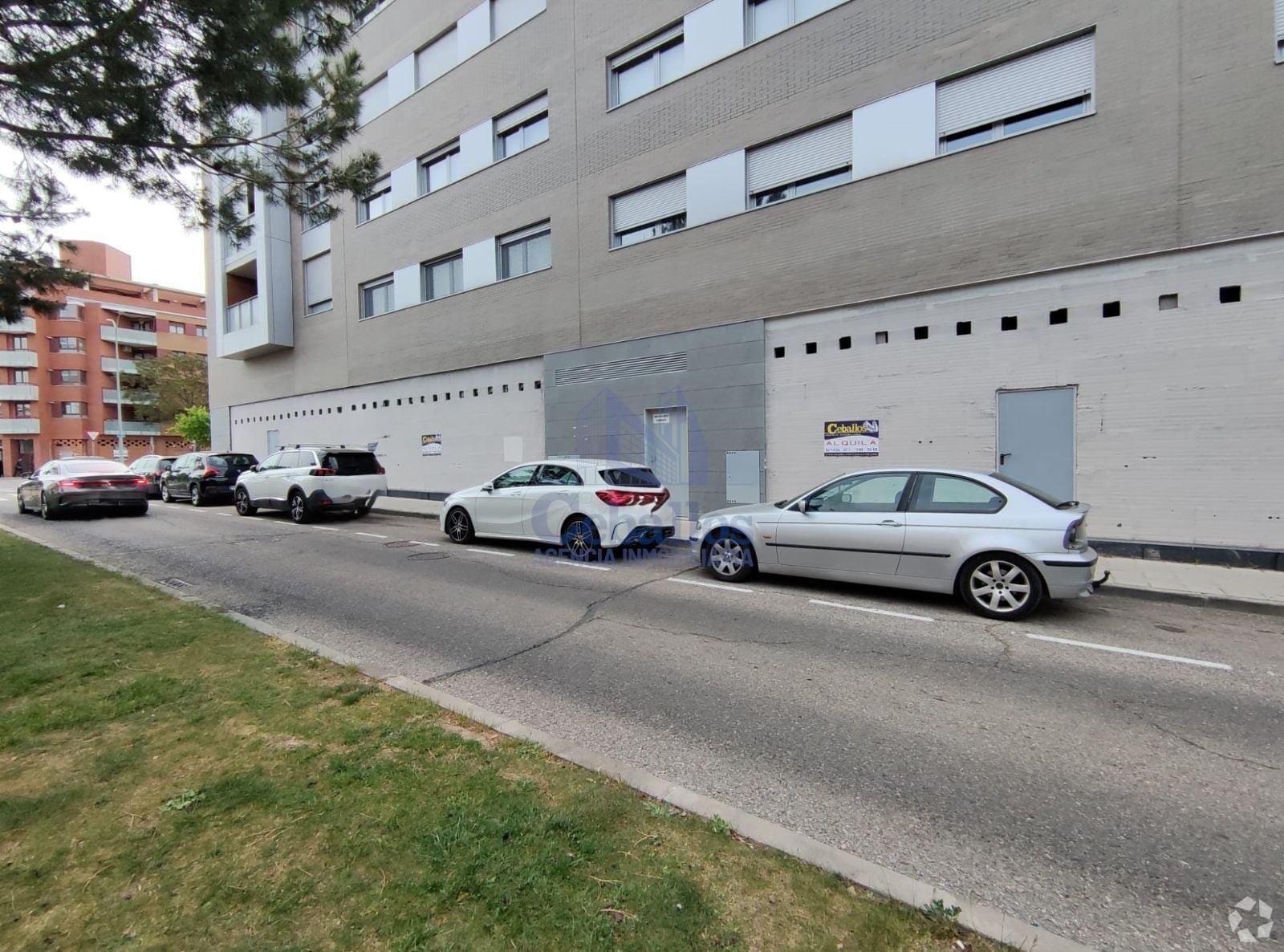 Retail in Guadalajara, Guadalajara for lease Interior Photo- Image 1 of 3