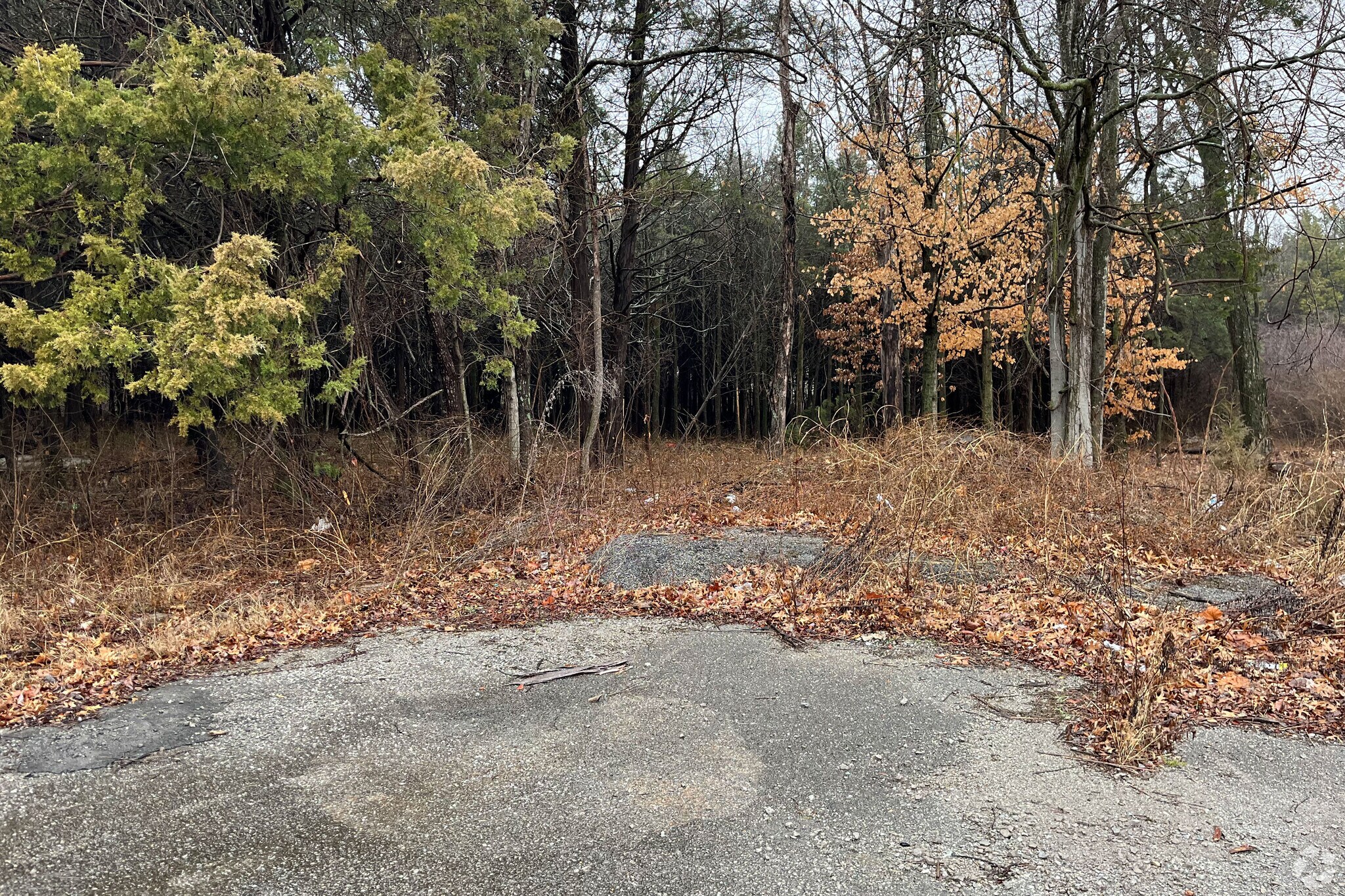 1805 E Northfield Blvd, Murfreesboro, TN for sale Primary Photo- Image 1 of 1