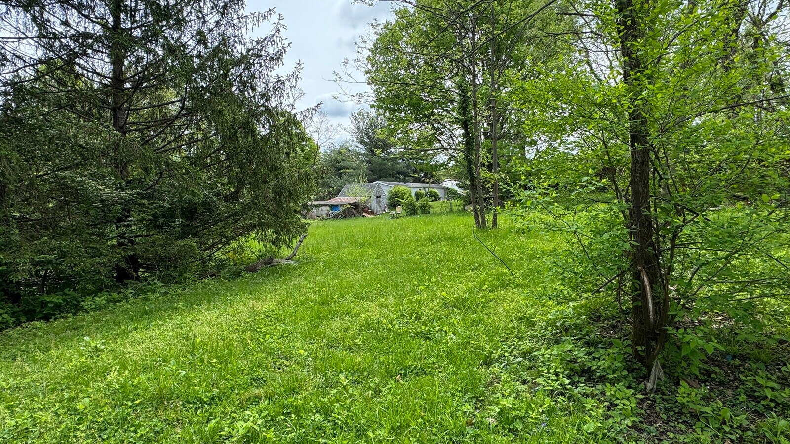 View Photo