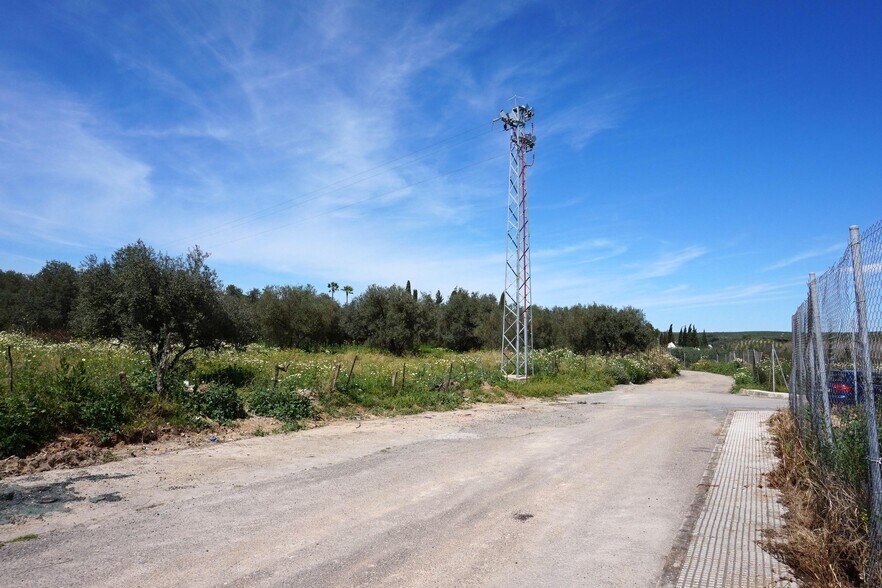 Land in Pilas for sale - Building Photo - Image 3 of 17