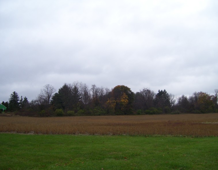 Route 202, East Amwell Township, NJ for sale - Primary Photo - Image 1 of 1