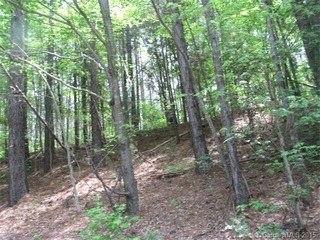 Anderson Rd, Catawba, SC for sale Primary Photo- Image 1 of 1