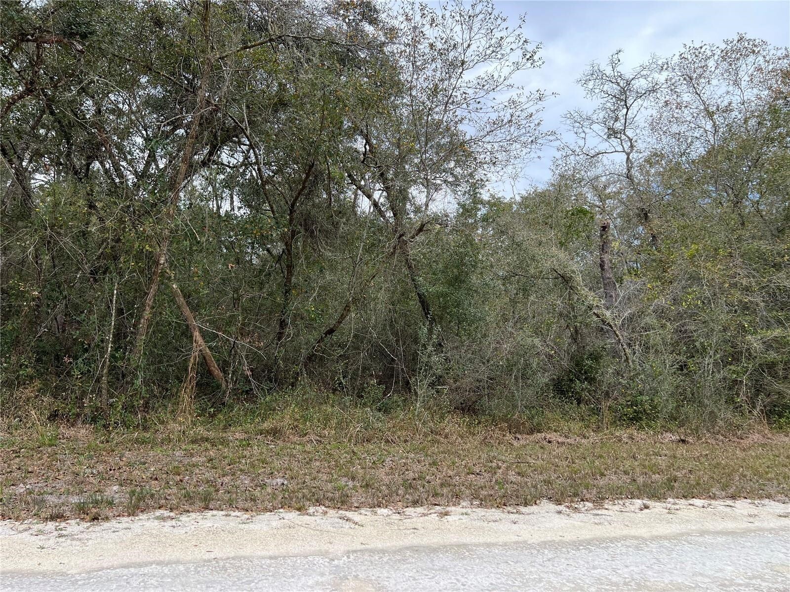 Plymouth Rock Drive, Webster, FL for sale Other- Image 1 of 4