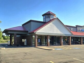 More details for 1051-1075 Ridge Rd, Webster, NY - Retail for Lease