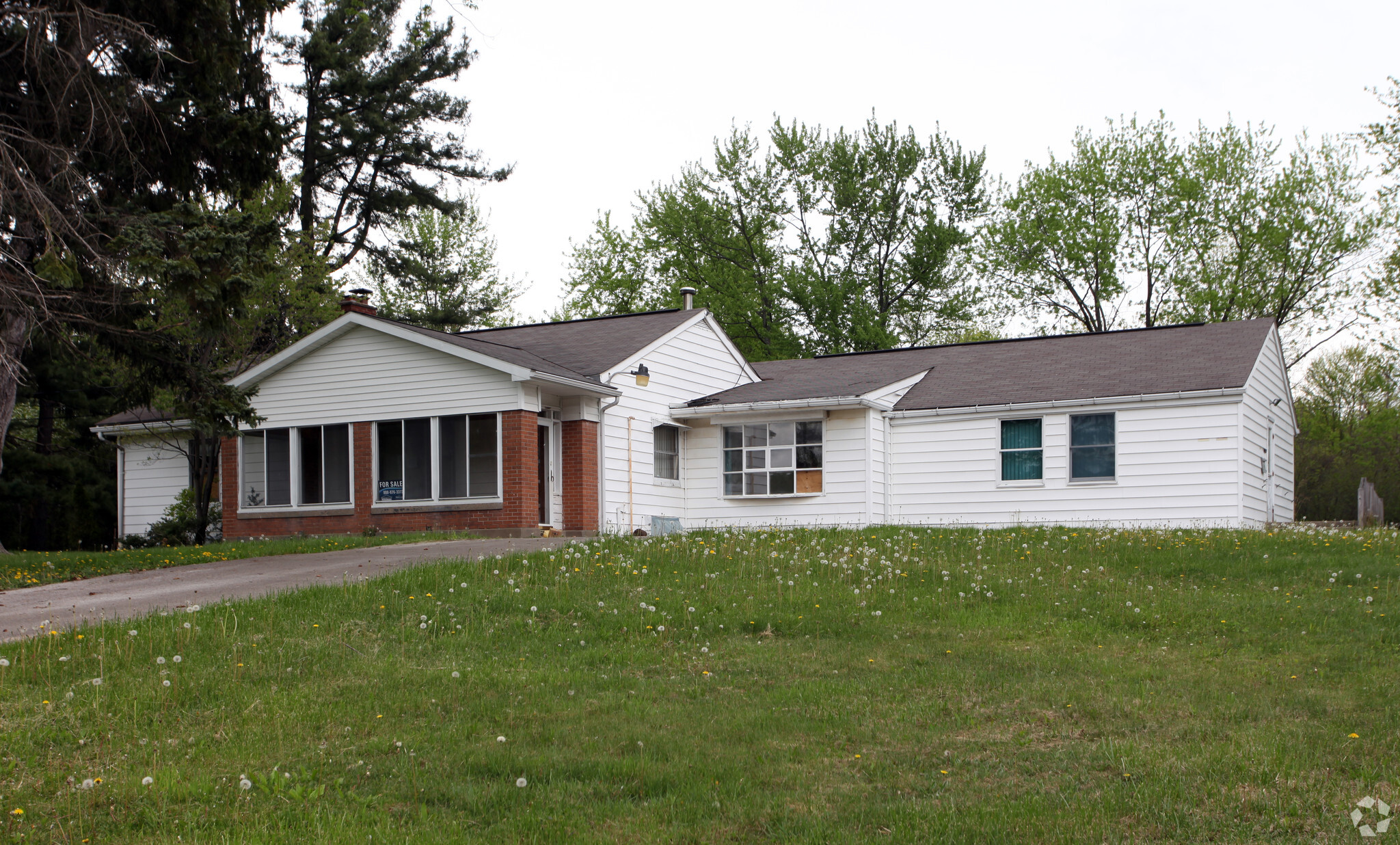 5249 Belmont Ave, Youngstown, OH for sale Primary Photo- Image 1 of 1