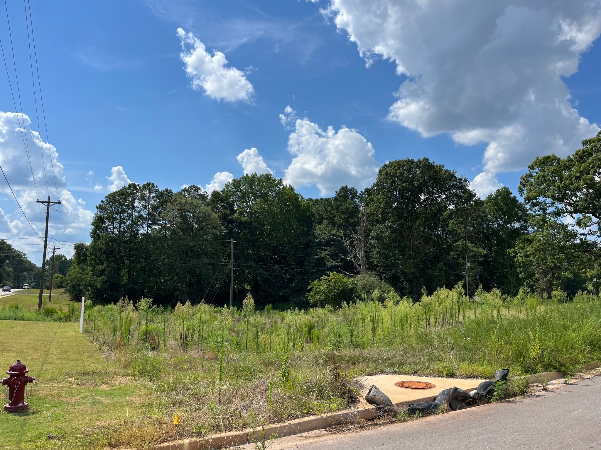 Lot 4 Poplar, Newnan, GA for sale Primary Photo- Image 1 of 2