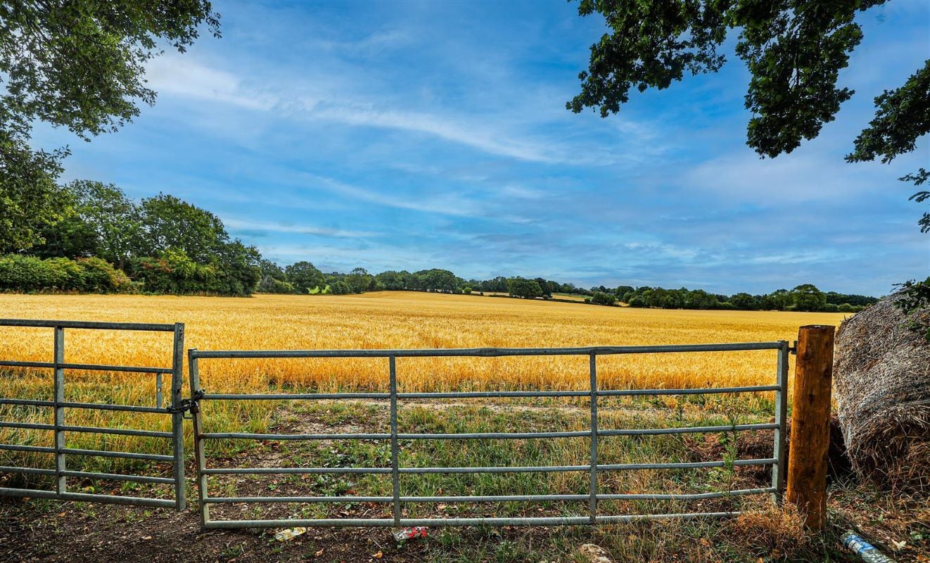 203 Toms Ln, Kings Langley for sale Primary Photo- Image 1 of 5