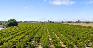More details for Hanford Armona, Lemoore, CA - Land for Sale
