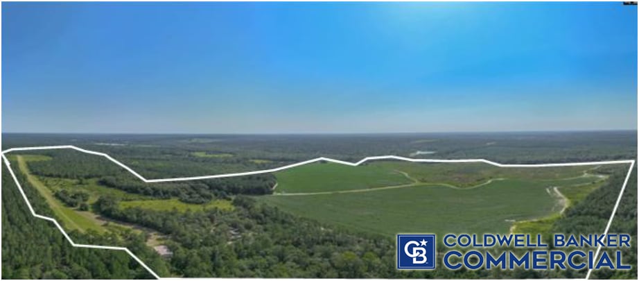 1340 Clayton Rd, Ridge Spring, SC for sale - Building Photo - Image 2 of 17