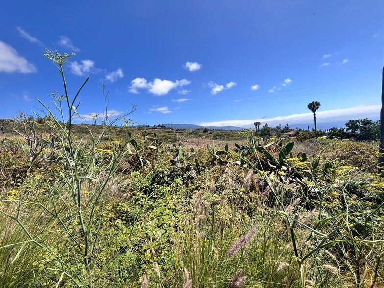 Land in Tacoronte, Santa Cruz de Tenerife for sale - Aerial - Image 3 of 19