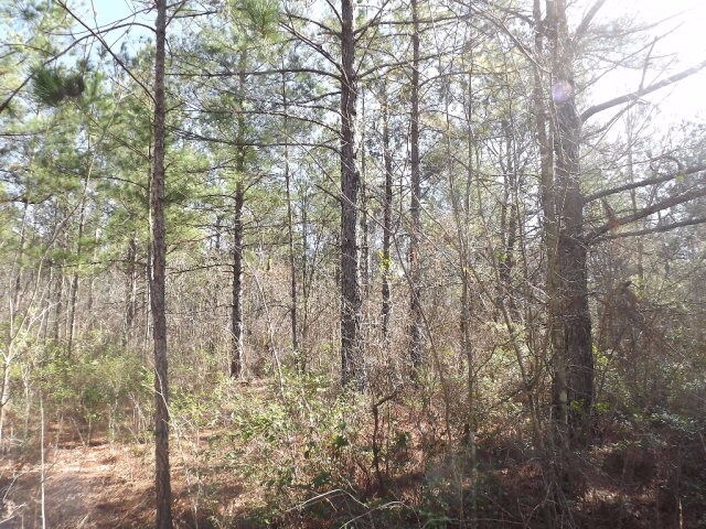 0 PLEASANT HILL Rd, Bristol, GA for sale Other- Image 1 of 1