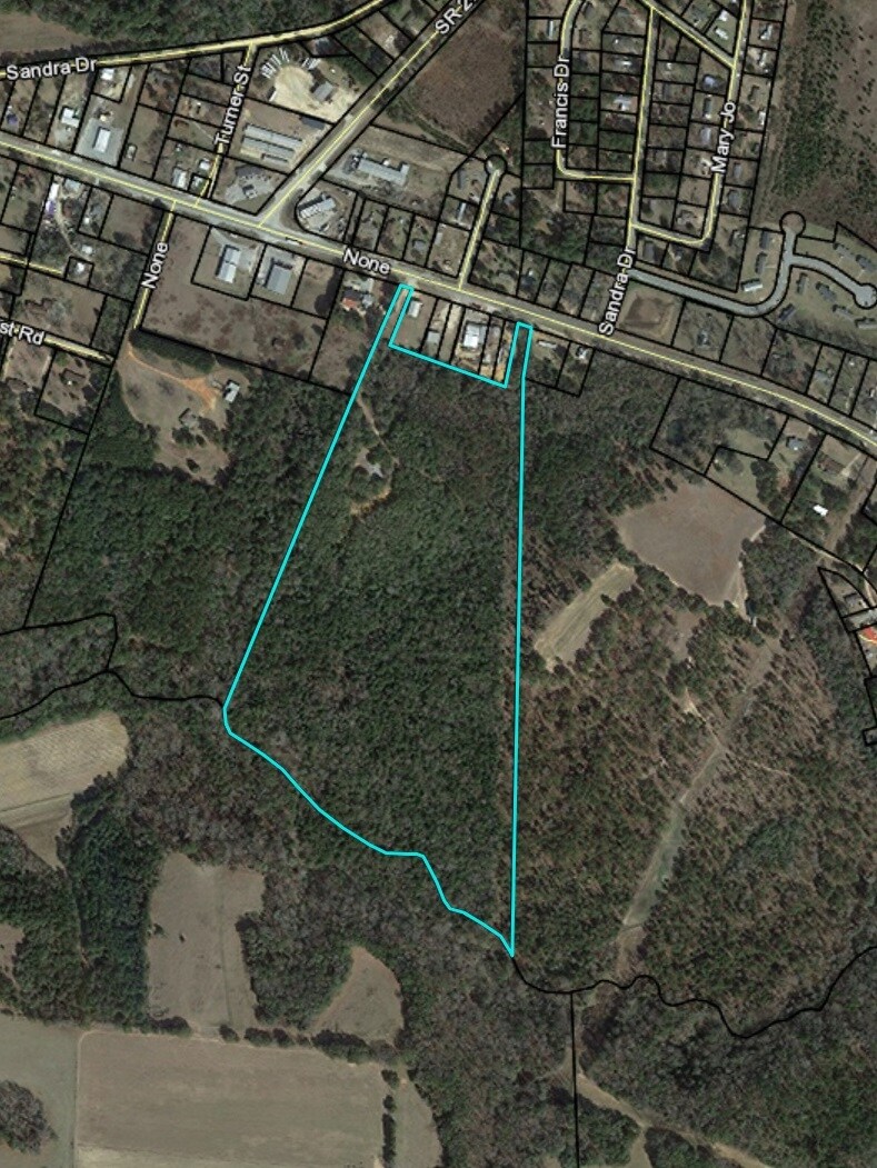 1256 US Highway 82, Georgetown, GA for sale Primary Photo- Image 1 of 1