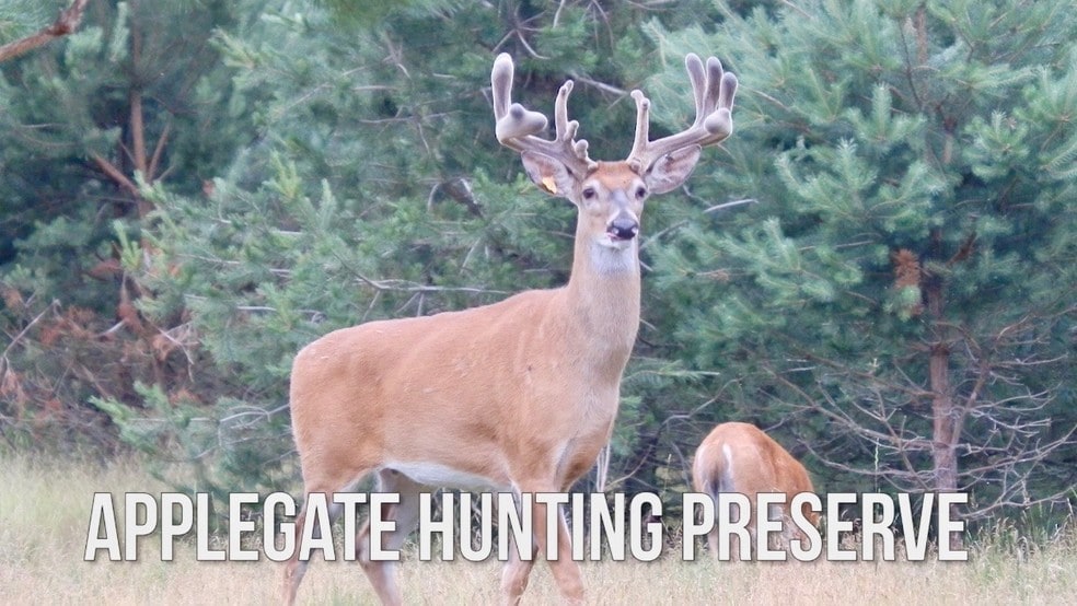 2950 Applegate Rd, Applegate, MI for sale - Building Photo - Image 1 of 1