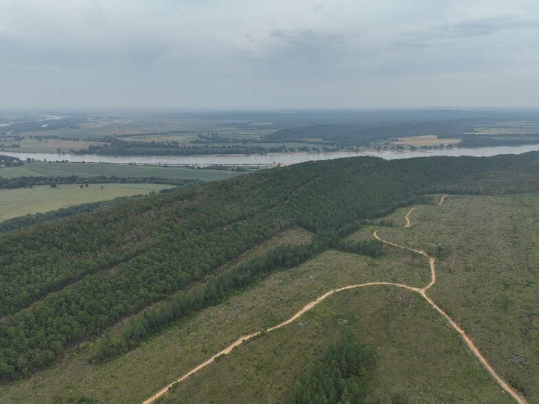 000 Pallisades Drive, Bigelow, AR for sale - Primary Photo - Image 1 of 6