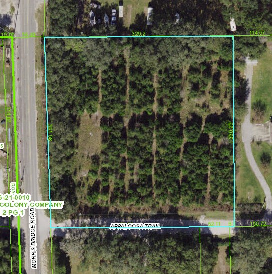 Morris Bridge Rd - Appaloosa Trail, Zephyrhills, FL for sale - Aerial - Image 1 of 1