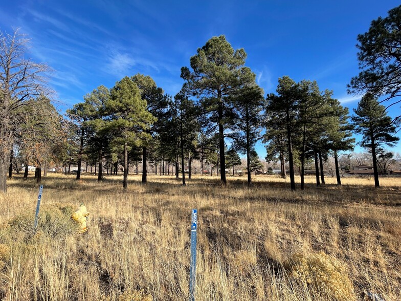 5900 N Highway 89, Flagstaff, AZ for sale - Primary Photo - Image 1 of 1