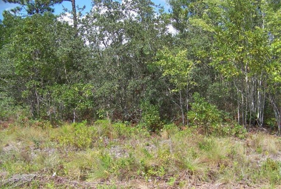 1234 George II Hwy, Boiling Spring Lakes, NC for sale Building Photo- Image 1 of 1