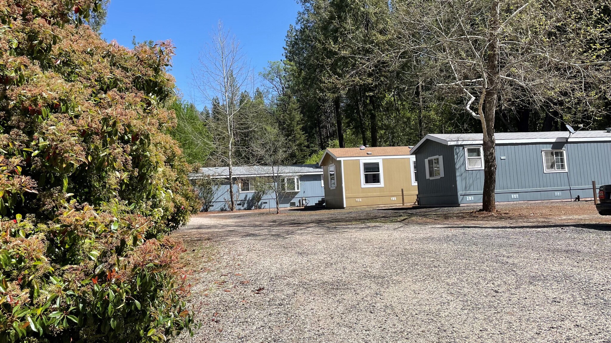 15614 Fitzgerald Dr, Forest Ranch, CA 95942 Forest Village Mobile