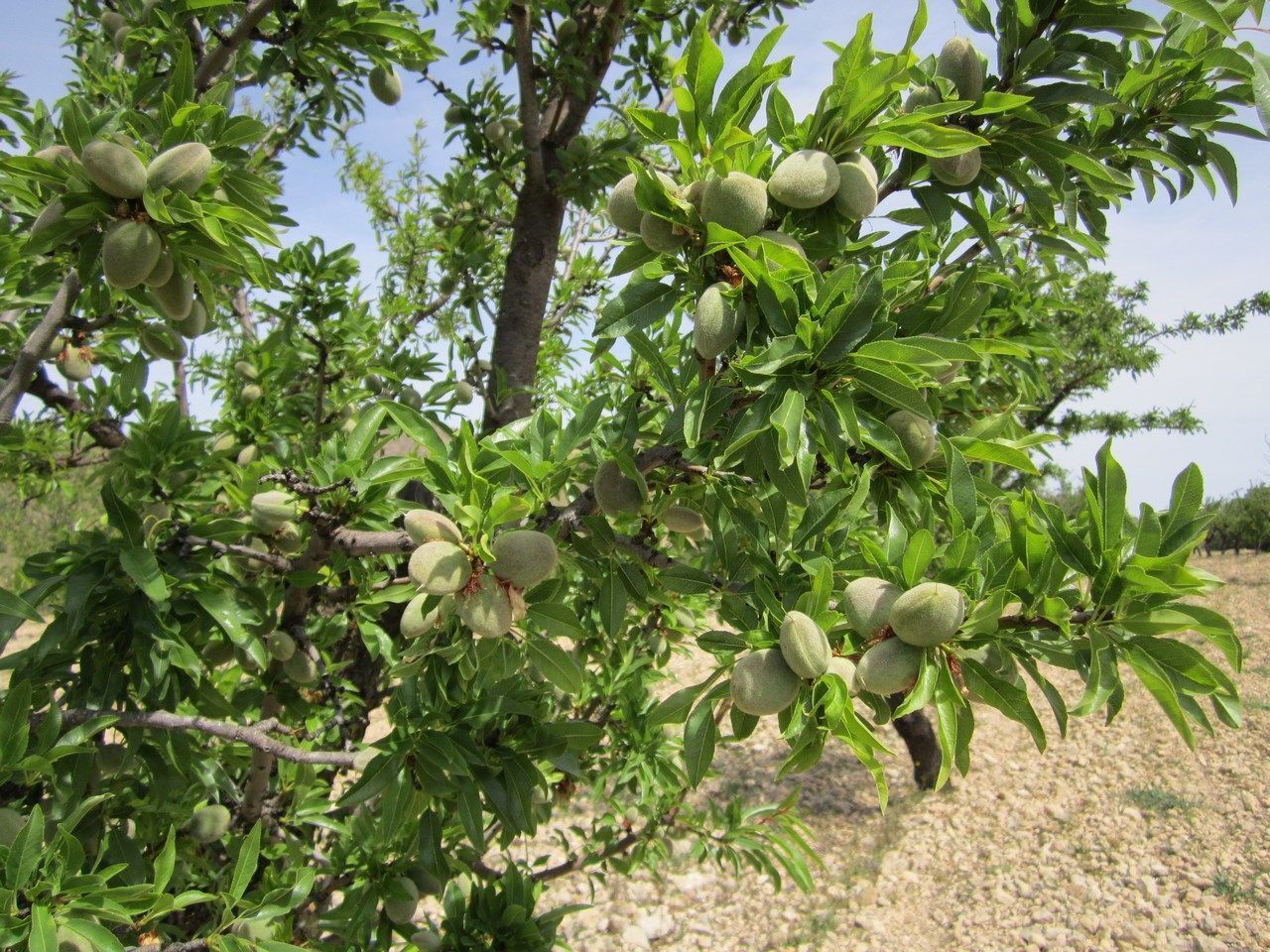 Land in MURCIA for sale Building Photo- Image 1 of 10