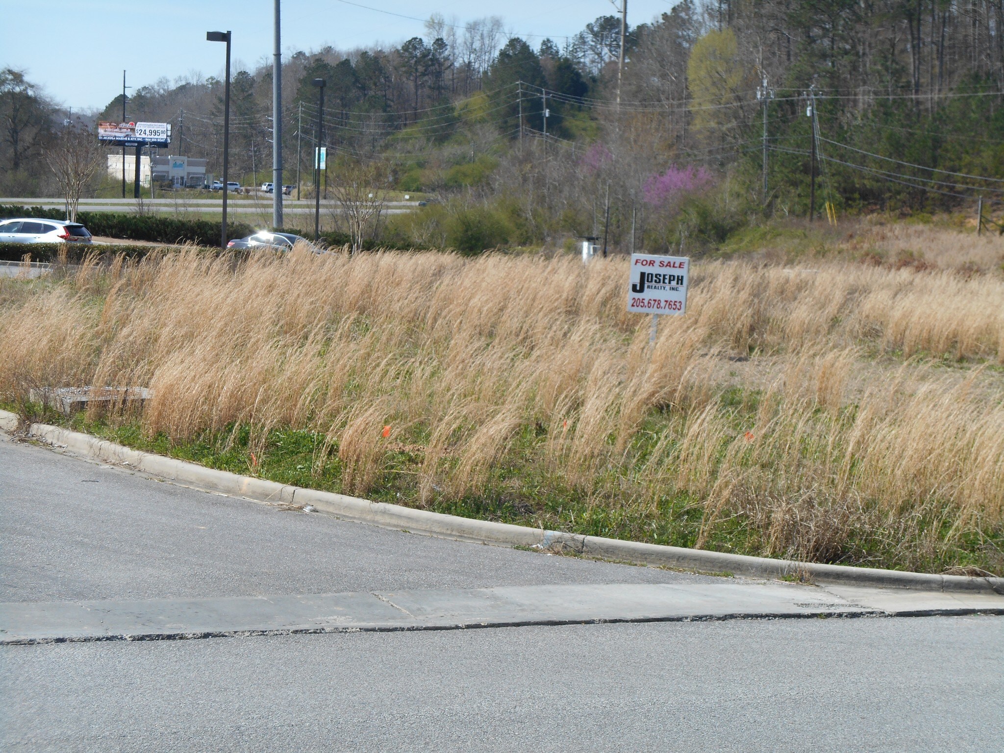 28 Chelsea Pointe Dr, Chelsea, AL for sale Building Photo- Image 1 of 1