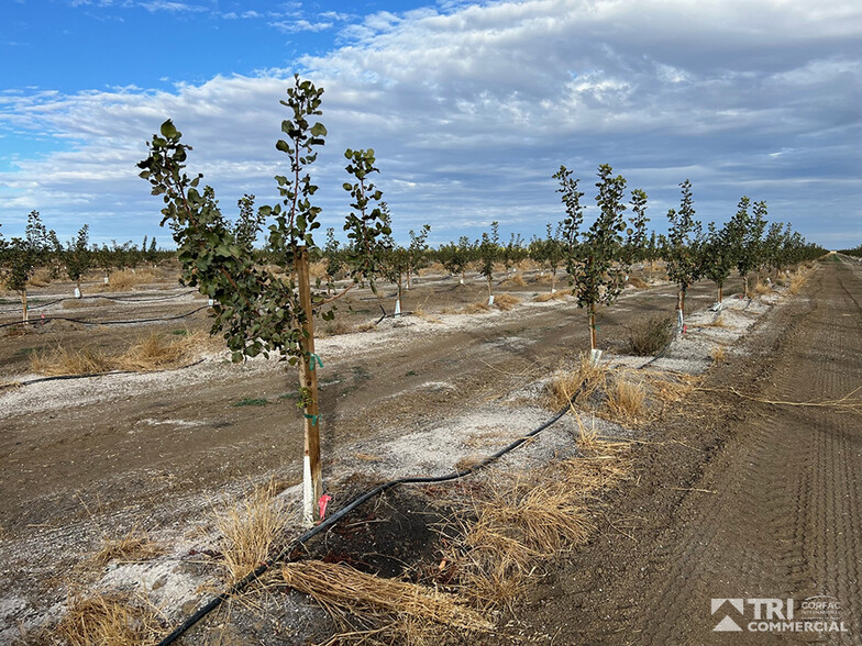 0 County Road 89, Winters, CA for sale - Primary Photo - Image 1 of 8